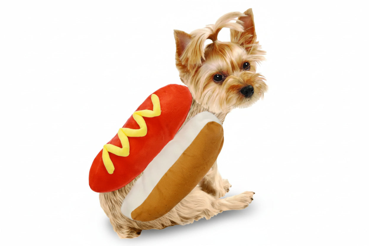 Dog wearing a hot dog costume with a white background