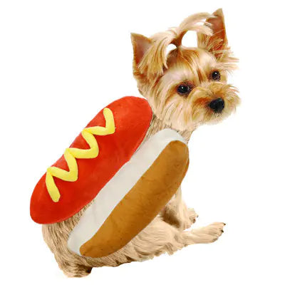 Dog wearing a hot dog costume with a white background