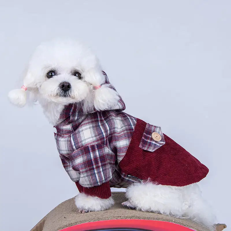 Luxury Pomeranian Small Dog Hoodie