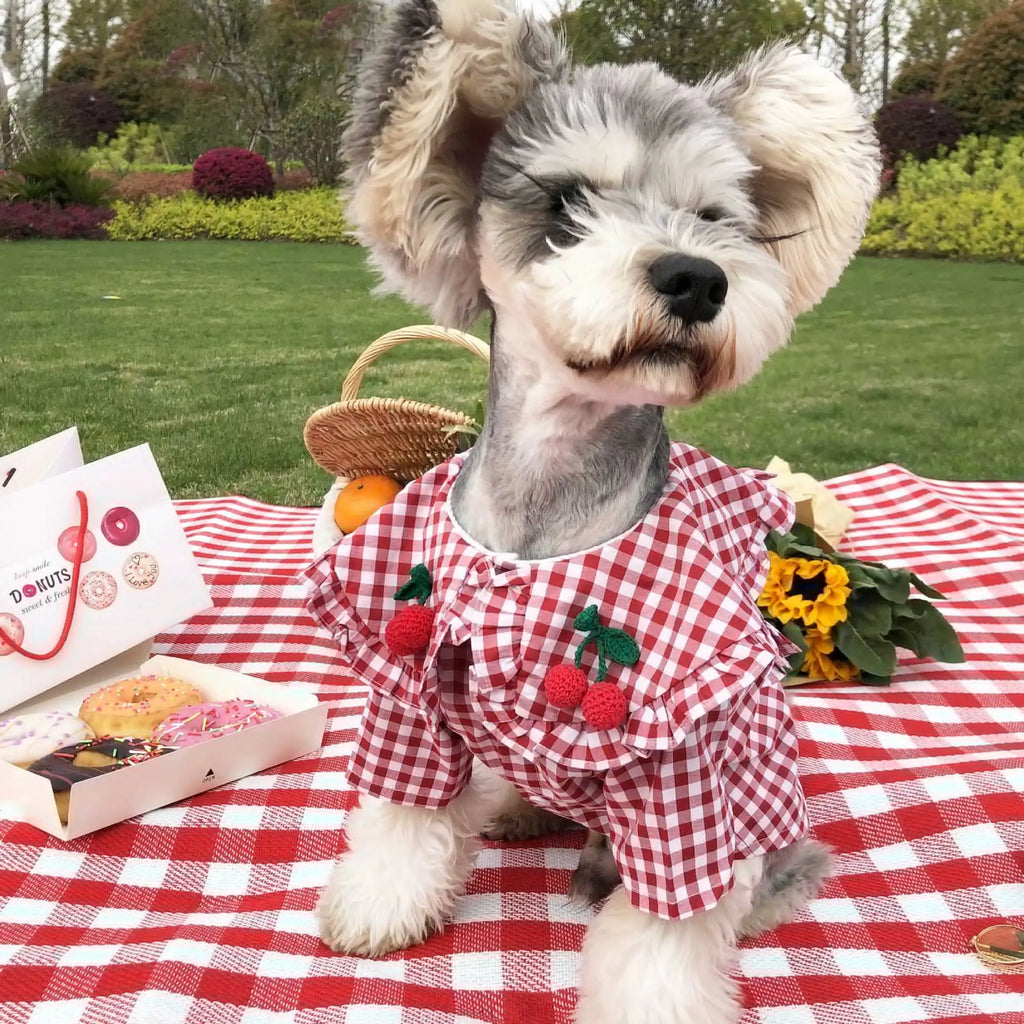 Chic Summer Checkered Tee for Small Dogs