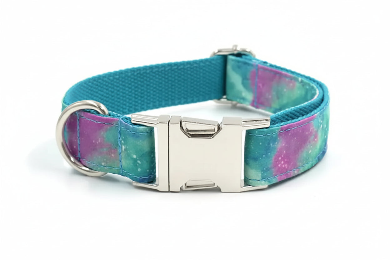 Dog collar with a colorful pattern and silver buckle on a white background